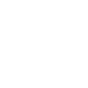 Vicoria Boat Paris - Logo